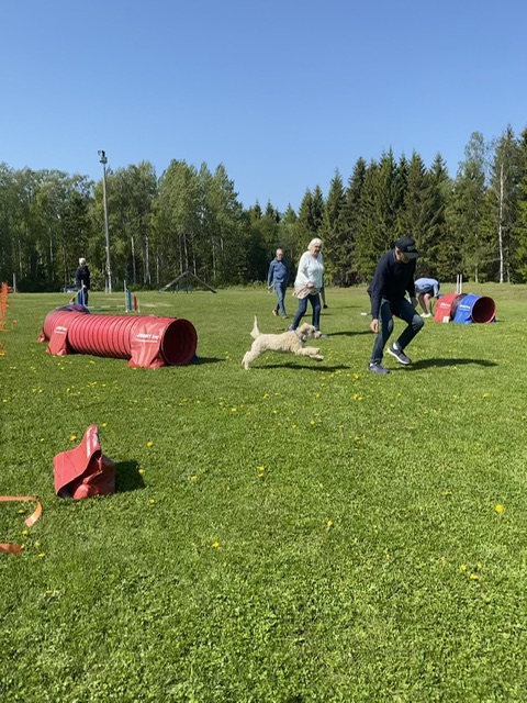 Tindra och husse