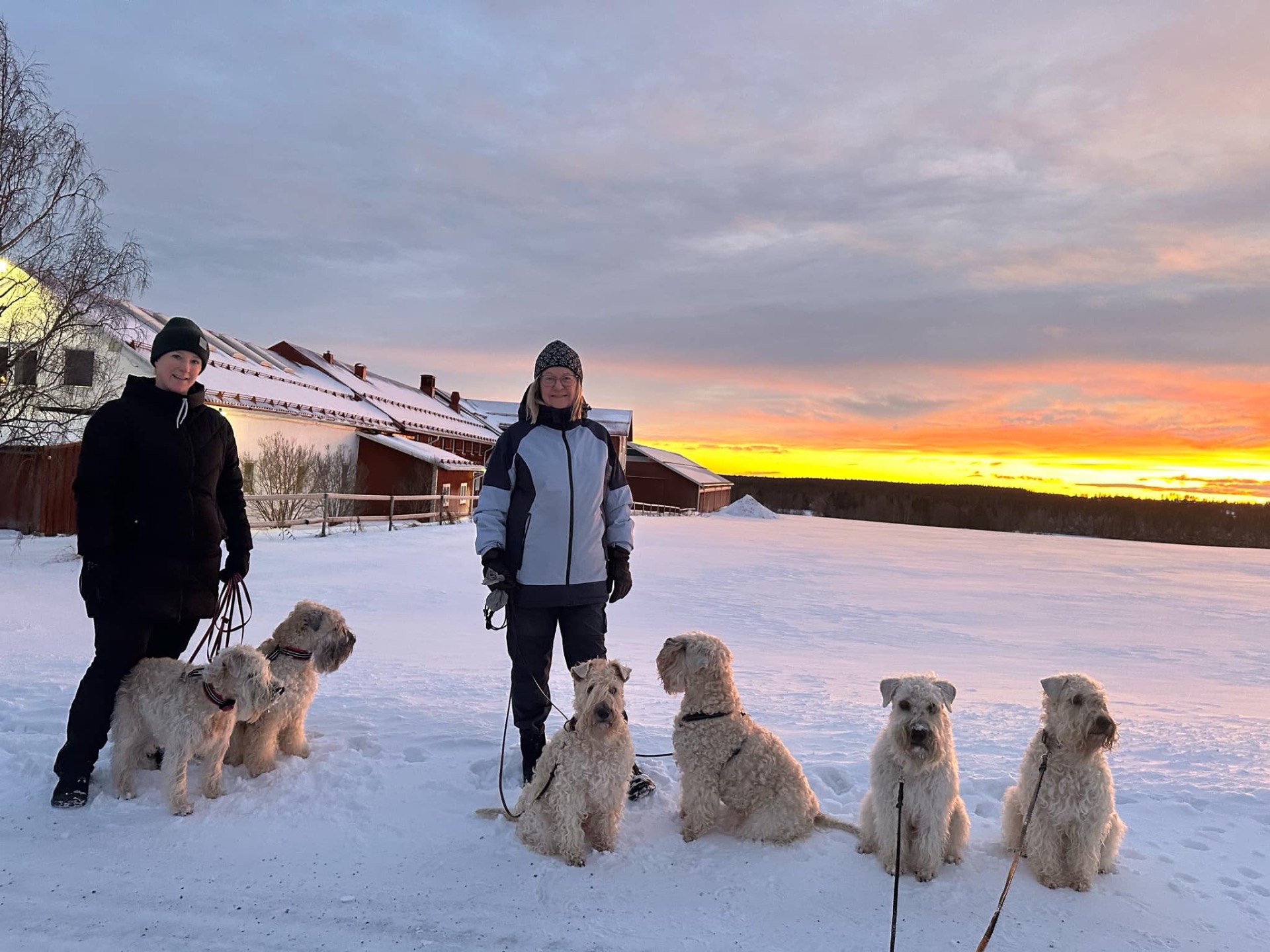 Jag och Lena (Isas uppfödare) och alla hundar
